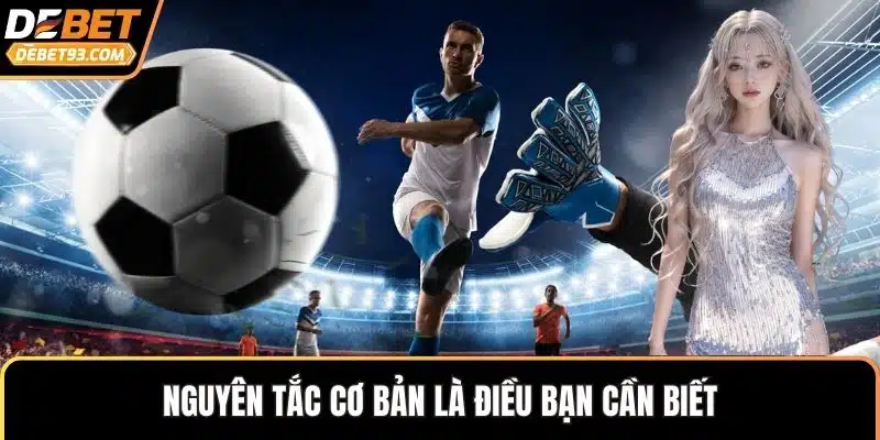 Nguyên tắc cơ bản là điều bạn cần biết